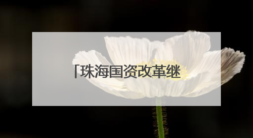 珠海国资改革继续，华发股份告别李光宁时代