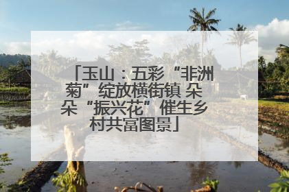 玉山：五彩“非洲菊”绽放横街镇 朵朵“振兴花”催生乡村共富图景