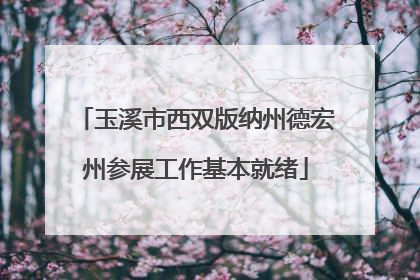 玉溪市西双版纳州德宏州参展工作基本就绪
