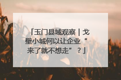 玉门县域观察｜戈壁小城何以让企业“来了就不想走”？