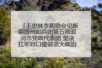 王忠林李殿勋会见新疆博州和兵团第五师双河市党政代表团 坚决扛牢对口援疆重大政治责任 推动双方实现优势互补务实合作