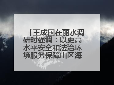 王成国在丽水调研时强调：以更高水平安全和法治环境服务保障山区海岛县高质量发展