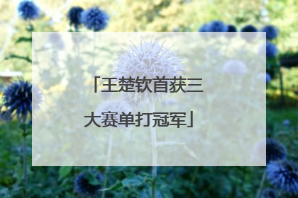 王楚钦首获三大赛单打冠军