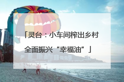 灵台：小车间榨出乡村全面振兴“幸福油”