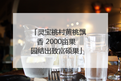灵宝桃村黄桃飘香 2000亩果园结出致富硕果