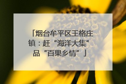 烟台牟平区王格庄镇：赶“海洋大集” 品“百果乡情”