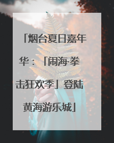 烟台夏日嘉年华：「闹海·拳击狂欢季」登陆黄海游乐城