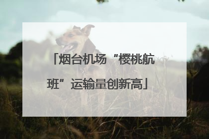 烟台机场“樱桃航班”运输量创新高