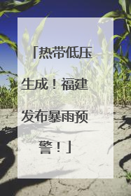 热带低压生成！福建发布暴雨预警！