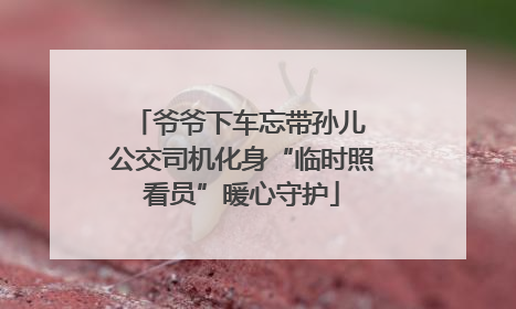 爷爷下车忘带孙儿 公交司机化身“临时照看员”暖心守护