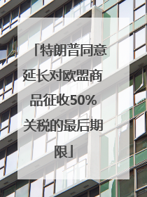 特朗普同意延长对欧盟商品征收50%关税的最后期限