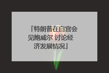 特朗普在白宫会见鲍威尔 讨论经济发展情况