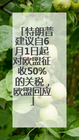 特朗普建议自6月1日起对欧盟征收50%的关税，欧盟回应