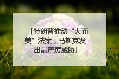 特朗普推动“大而美”法案，马斯克发出最严厉威胁