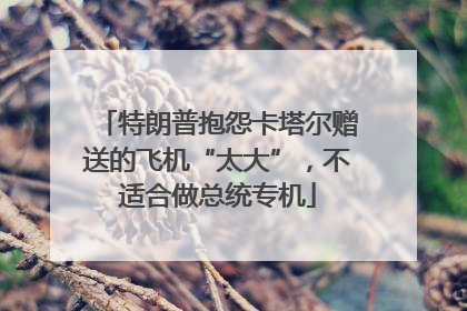 特朗普抱怨卡塔尔赠送的飞机“太大”，不适合做总统专机