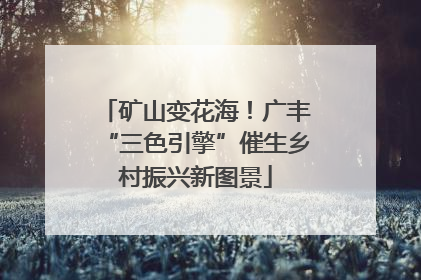 矿山变花海！广丰“三色引擎”催生乡村振兴新图景