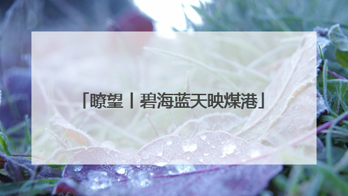 瞭望丨碧海蓝天映煤港