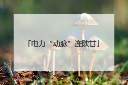 电力“动脉”连陕甘