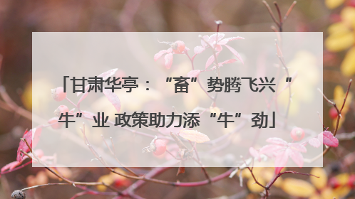 甘肃华亭：“畜”势腾飞兴“牛”业 政策助力添“牛”劲