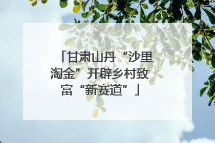 甘肃山丹“沙里淘金”开辟乡村致富“新赛道”
