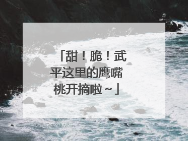 甜！脆！武平这里的鹰嘴桃开摘啦～