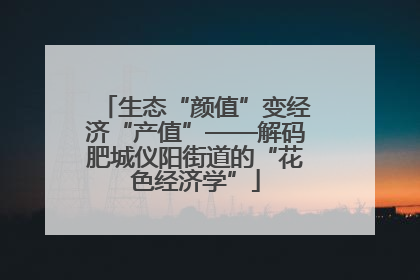 生态“颜值”变经济“产值”——解码肥城仪阳街道的“花色经济学”