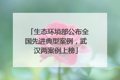生态环境部公布全国先进典型案例，武汉两案例上榜