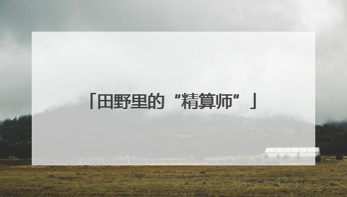 田野里的“精算师”
