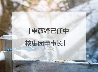 申彦锋已任中核集团董事长