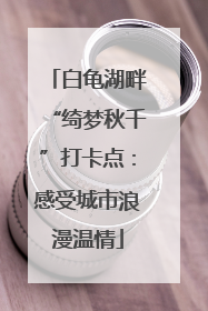白龟湖畔“绮梦秋千”打卡点：感受城市浪漫温情