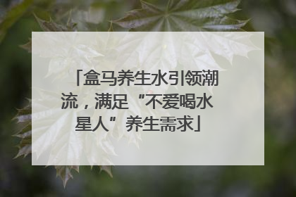 盒马养生水引领潮流，满足“不爱喝水星人”养生需求