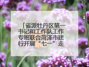 省派牡丹区第一书记和工作队工作专班联合菏泽市建行开展“七一”走访慰问暨红色教育活动