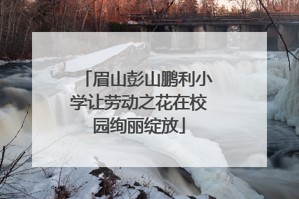眉山彭山鹏利小学让劳动之花在校园绚丽绽放