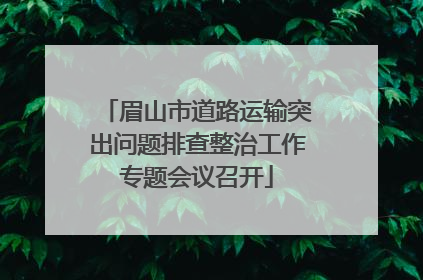 眉山市道路运输突出问题排查整治工作专题会议召开