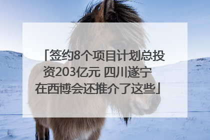 签约8个项目计划总投资203亿元 四川遂宁在西博会还推介了这些