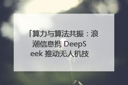 算力与算法共振：浪潮信息携 DeepSeek 推动无人机技术在舟山落地