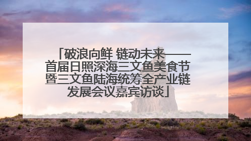 破浪向鲜 链动未来——首届日照深海三文鱼美食节暨三文鱼陆海统筹全产业链发展会议嘉宾访谈