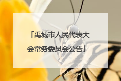 禹城市人民代表大会常务委员会公告