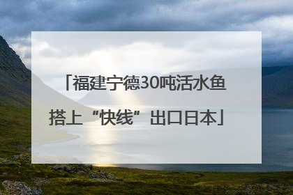 福建宁德30吨活水鱼搭上“快线”出口日本