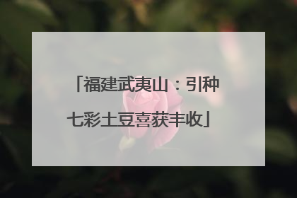福建武夷山：引种七彩土豆喜获丰收