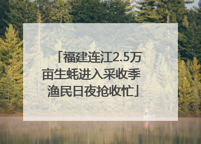 福建连江2.5万亩生蚝进入采收季 渔民日夜抢收忙