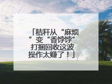 秸秆从“麻烦”变“香饽饽” 打捆回收这波操作太赚了！
