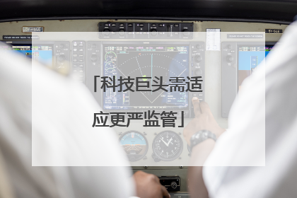 科技巨头需适应更严监管