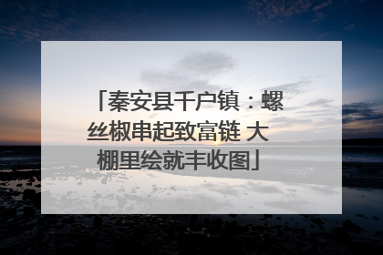 秦安县千户镇：螺丝椒串起致富链 大棚里绘就丰收图