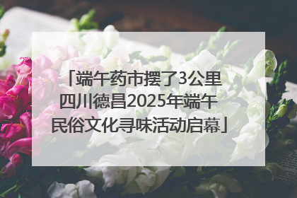 端午药市摆了3公里 四川德昌2025年端午民俗文化寻味活动启幕