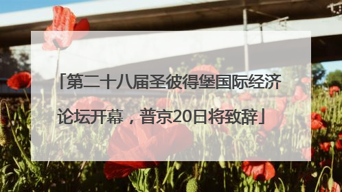 第二十八届圣彼得堡国际经济论坛开幕，普京20日将致辞