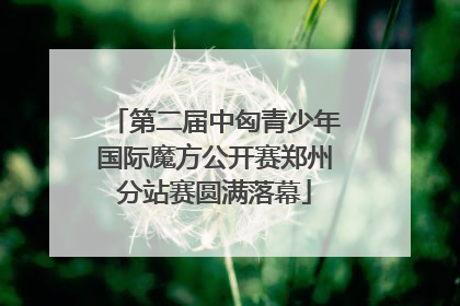 第二届中匈青少年国际魔方公开赛郑州分站赛圆满落幕