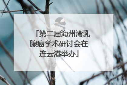 第二届海州湾乳腺癌学术研讨会在连云港举办