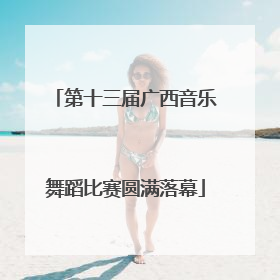 第十三届广西音乐舞蹈比赛圆满落幕
