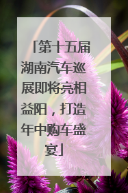 第十五届湖南汽车巡展即将亮相益阳，打造年中购车盛宴